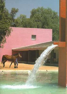 ī罨·˹(LuisBarragan)