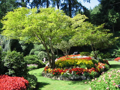 UϽ@The Butchart Gardens-Sunken Garden