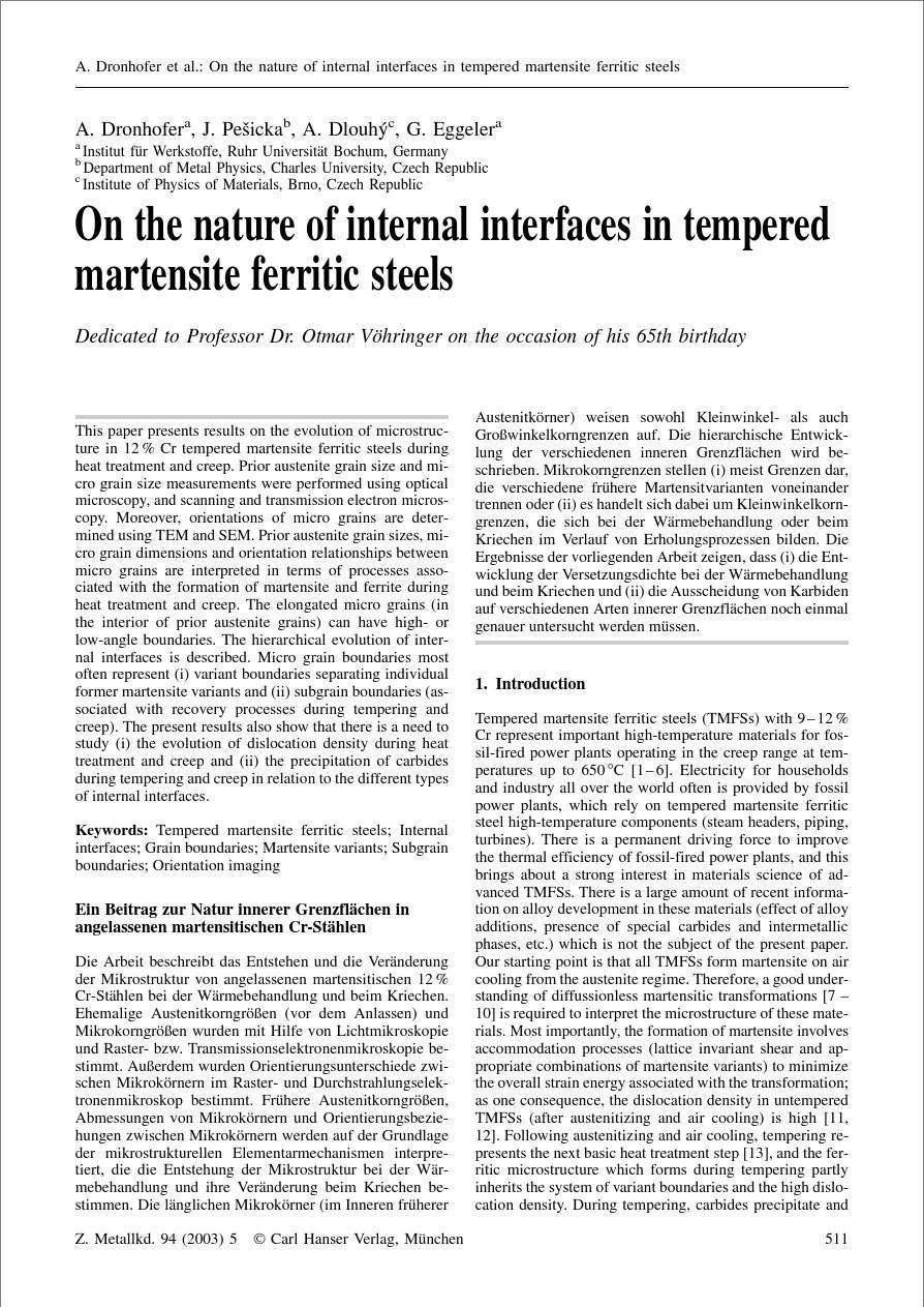 On the nature of internal interfaces in tempered martensite ferritic steels